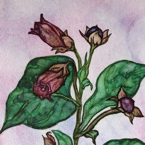 “Belladonna” Watercolor Notecard